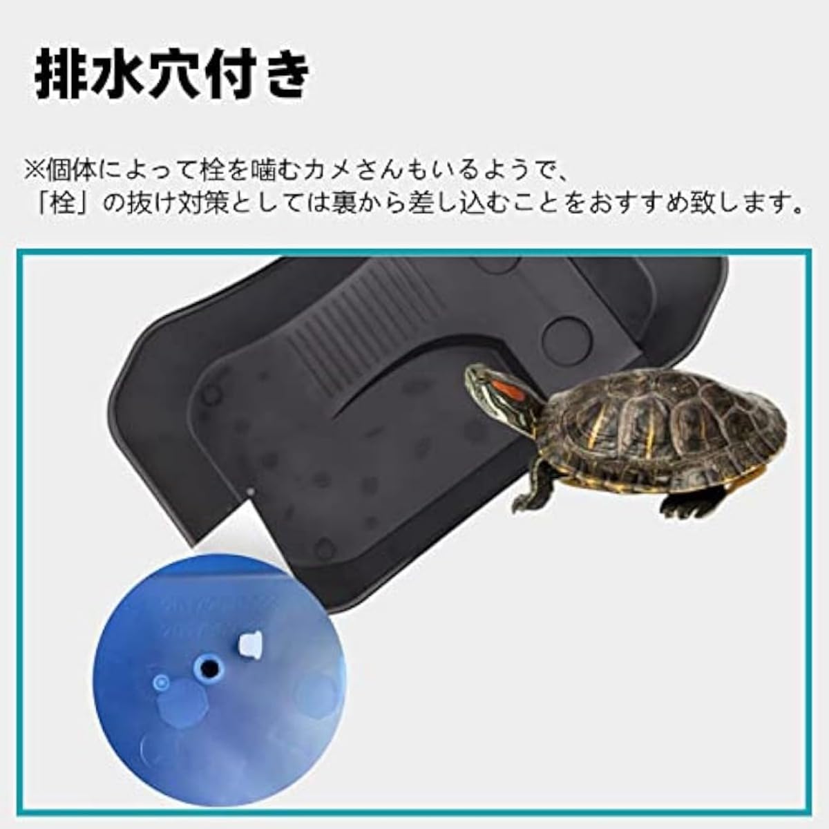 亀の背に子亀が１匹 とってもふしぎなポケット/「♪親亀の背中に子亀をのせて